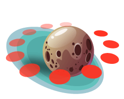 Mantenimiento y actualizaciones incluidos