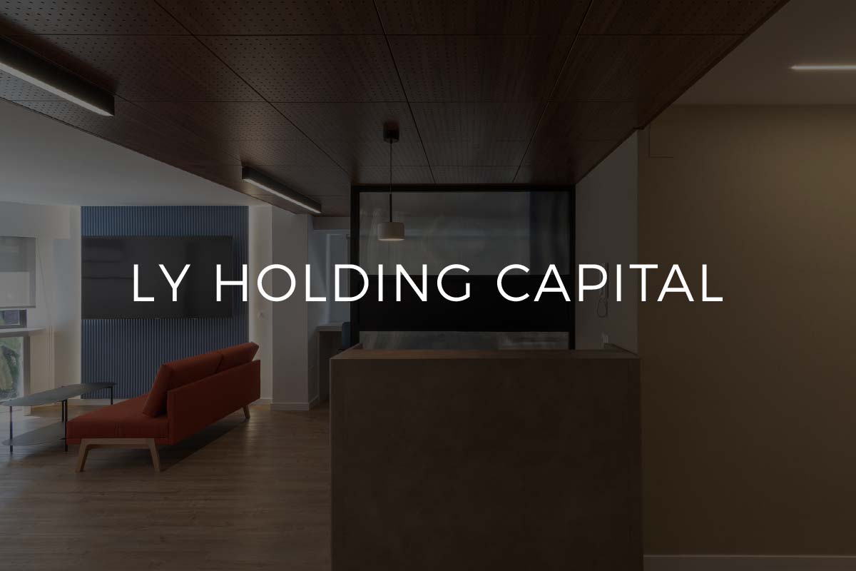Ly Holding Capital. Su web para el apoyo, inversión y crecimiento de empresas